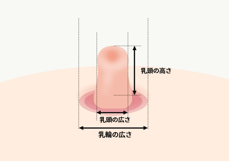 모델