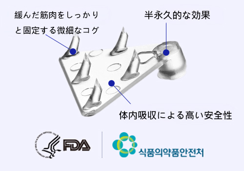 모델