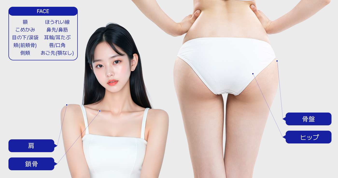 모델