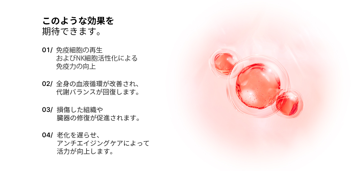 모델