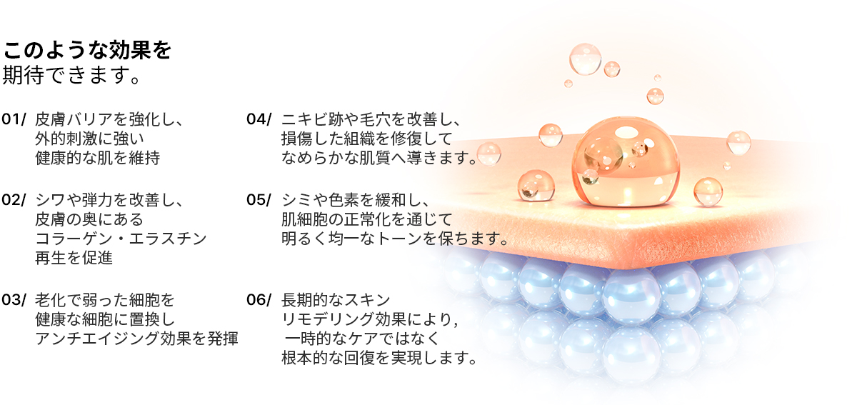 모델