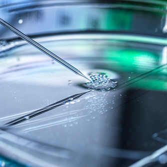 培養を行わない高濃度細胞抽出