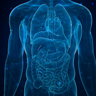 静脈投与による全身に作用する再生効果
